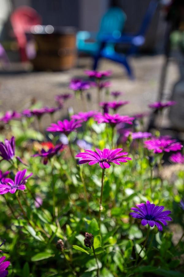 The Mint Cottage With Garden Anchorage Buitenkant foto