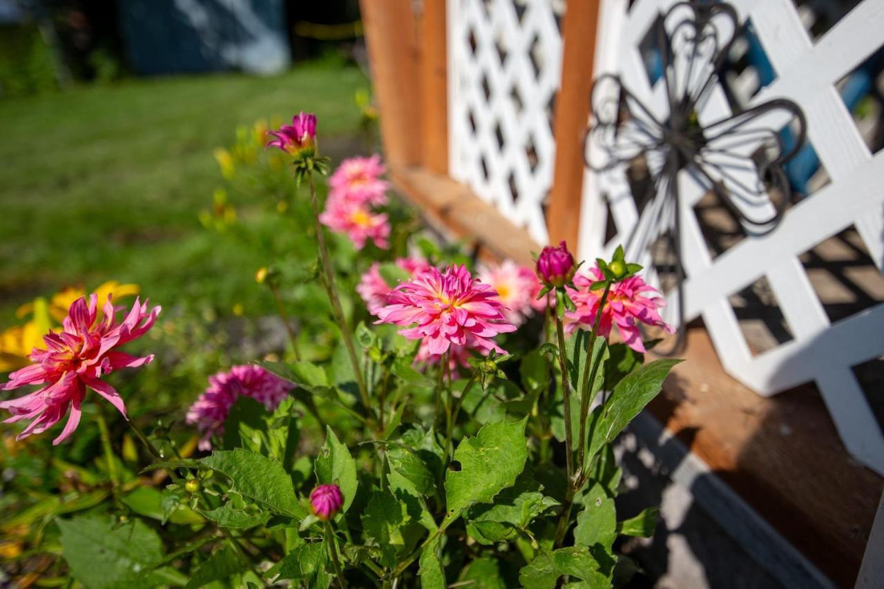 The Mint Cottage With Garden Anchorage Buitenkant foto
